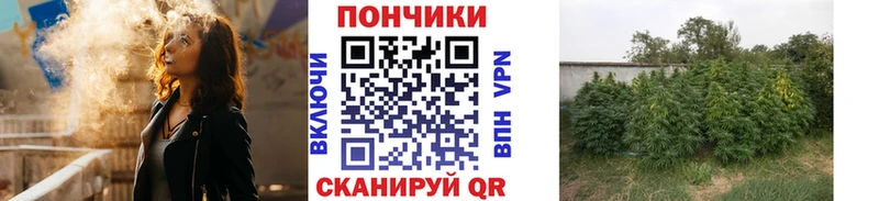 Купить Вятские Поляны Конопля OG Kush